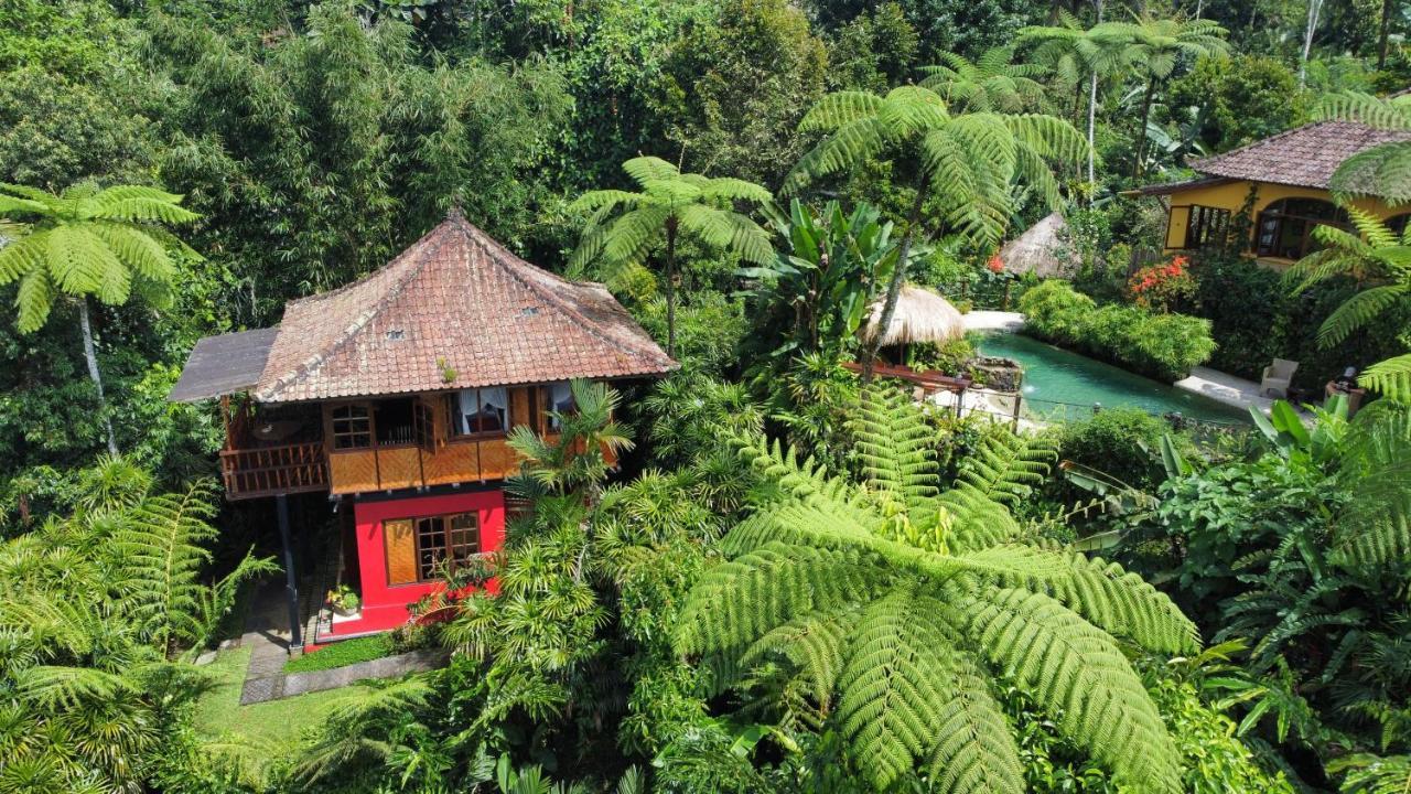 Sarinbuana Eco Lodge Blimbing  Buitenkant foto