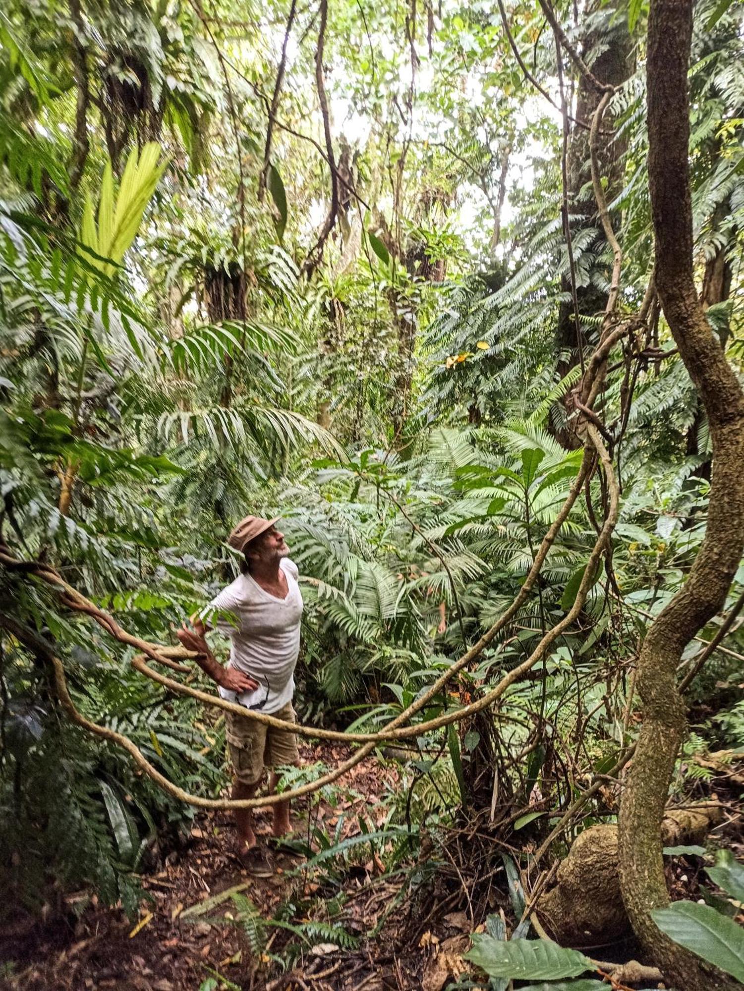 Sarinbuana Eco Lodge Blimbing  Buitenkant foto